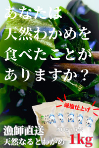 【漁師直送】天然なるとわかめ 200g×5袋 【 減塩 】 鳴門わかめ わかめ 天然 国産 希少 人気 湯通し 塩蔵 味噌汁 みそ汁 スープ お刺身 サラダ 酢の物 和え物