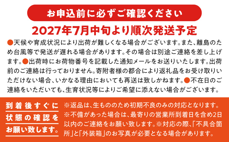 【2025年先行予約】沖永良部完熟アップルマンゴー1kg（2～3玉）　W001-009u