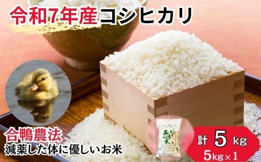 【令和7年産】アイガモ栽培 コシヒカリ 5kg （5kg×1袋） | お米 米 アイガモ栽培 アイガモ農法 こしひかり コシヒカリ 減農薬 アイガモ 合鴨 農法 美味しい お米 安心 安全 埼玉 農園 埼玉県 久喜市