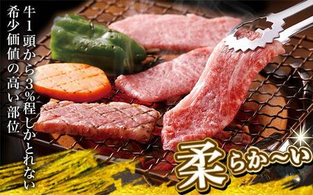 宮崎牛ヒレ焼肉用600g≪みやこんじょ快速便≫_AF-8902-R_(都城市) 宮崎県産宮崎牛 ヒレ焼肉用 焼肉用カット ヒレ肉 冷凍配送