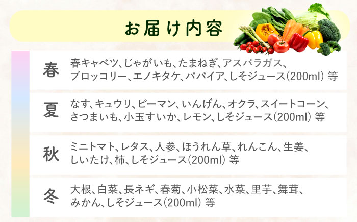 【3回定期便】野菜等詰め合わせセット(7〜10品目) / 野菜 果物 フルーツ くだもの きのこ しそ / 諫早市 / 松尾農園 [AHAY007]