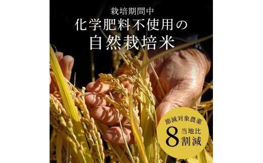 〈スピード発送〉新米 丹波産 〈低農薬 80%減〉特別栽培米 コシヒカリ 20kg（5kg×4袋）精米 丹波市 こしひかり 一等米 特A こめ 米 コメ ブランド米 兵庫県