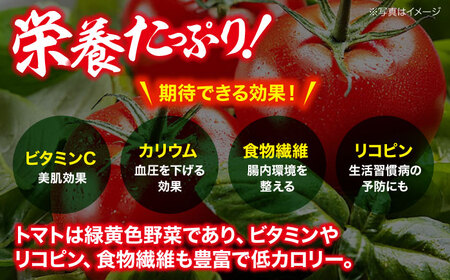 【先行予約】【4月上旬から順次発送】 トマト 桃太郎 12から15玉 約2.3kg 愛媛県大洲市/梶原農園 とまと 大玉トマト 野菜 リコピン 人気[AGCX003]