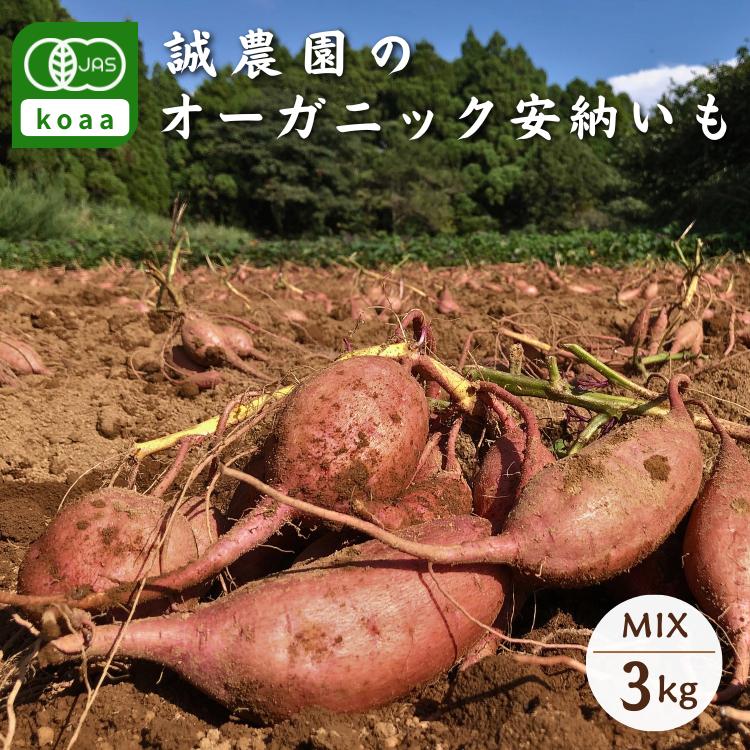 オーガニック認証を受けた安心安全な安納芋をお届けいたします！