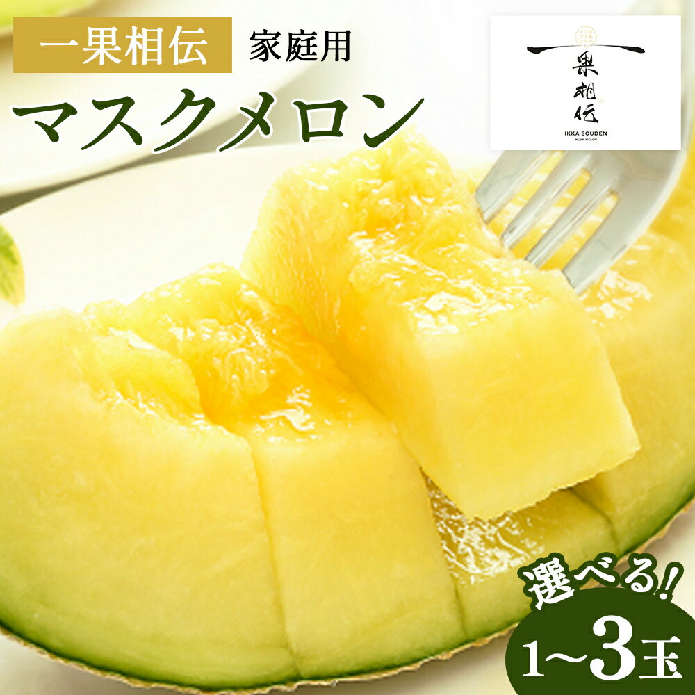 【ふるさと納税】一果相伝 マスクメロン 家庭用 1玉／2玉／3玉 - 選べる 個数 果物 くだもの フルーツ めろん 青肉 自宅用 ジューシー 果汁 至福 美味しい 甘い あまい 篤農 産地直送 高知県 香南市【常温】レビューキャンペーン実施中 ゆずあんぱん風おまんじゅうをお届け
