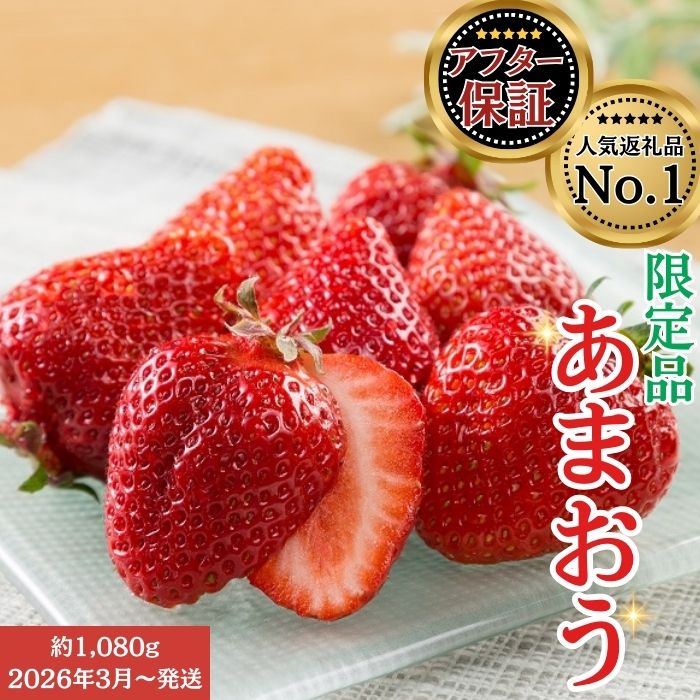 人気No.1獲得謝礼品★限定品★博多あまおう約1120g 先行受付