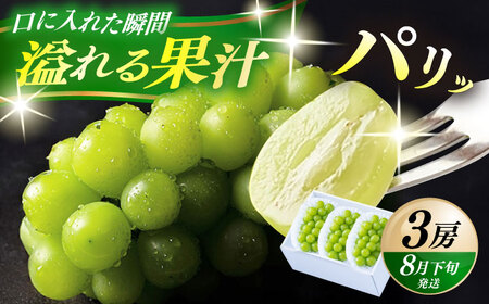 【先行予約・26年8月以降発送】日田産シャインマスカット3房(約1.5kg) ブドウ 葡萄 フルーツ 果物  シャインマスカット【配送不可地域：離島】[ARET006]