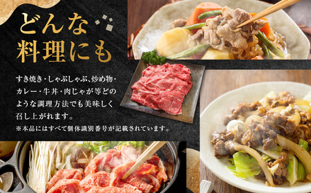 ちょっとリッチな飛騨牛（希少部位）約2.4kg 【2月・5月・8月・11月発送】定期便 4回 | みすじ ウデ すき焼き しゃぶしゃぶ  希少部位 600g 和牛 国産牛 冷凍 飛騨高山 飛騨牛のこも
