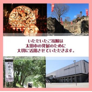 【返礼品なし】群馬県太田市への寄附(5,000円)