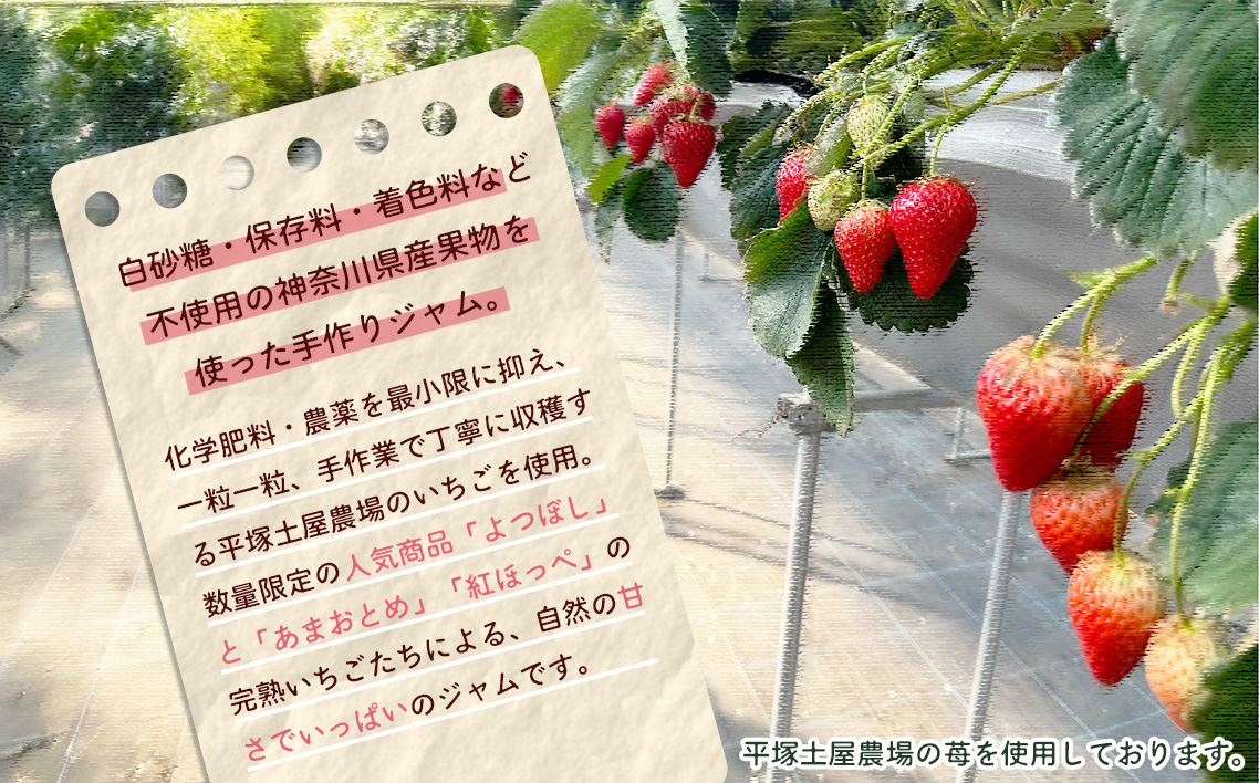 No.089 おすすめジャム5個セット