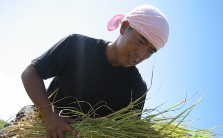 【令和７年産】南魚沼産コシヒカリ5kg | 米