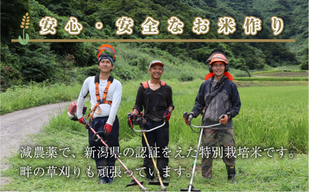 【定期便／全3回】無洗米5kg 新潟県魚沼産コシヒカリ「山清水米」 