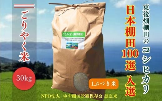 
                  令和7年度産 ごりやく米 東後畑棚田こしひかり 1ぶづき米 30kg 棚田米 長門市 コシヒカリ こしひかり
                