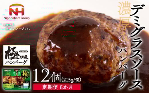 【定期便】極み焼きハンバーグ（デミグラスソース）セット定期便6か月 定期便 ※沖縄県・離島への配送不可