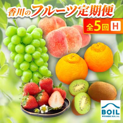 ふるさと納税 香川県 【発送月固定定期便】香川のフルーツ(5H)全5回