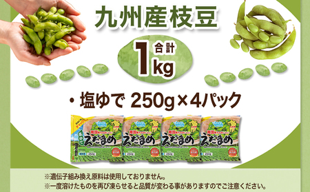 ≪小分けパック≫南国育ちのおいしい枝豆1kg≪みやこんじょ特急便≫_LE-3323-Q_(都城市) 塩ゆで 枝豆 急速凍結おつまみ おかず いろどり 小分け250g
