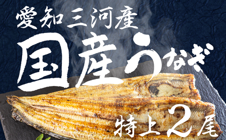 愛知県三河産 うなぎ 白焼き 2尾 うなぎ