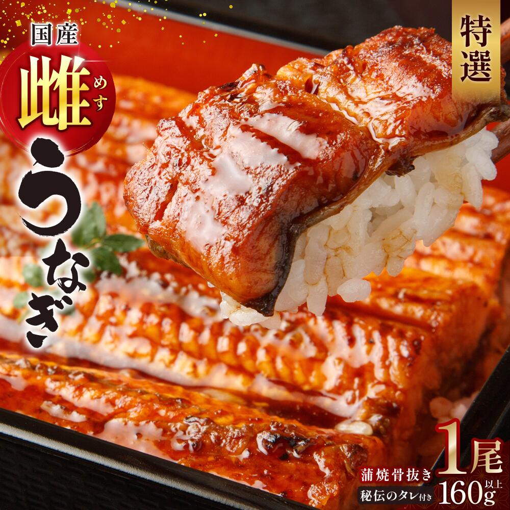 【ふるさと納税】うなぎ【骨抜き】特選国産雌うなぎ 蒲焼1尾160g以上（秘伝タレ付き）/秘伝のタレをたっぷり塗り、高温の炭火で香ばしく焼き上げた蒲焼をお届け 国産 1尾 骨抜き蒲焼 雌うなぎ 秘伝のタレ 和食 グルメ スタミナ 送料無料 三重県伊賀市