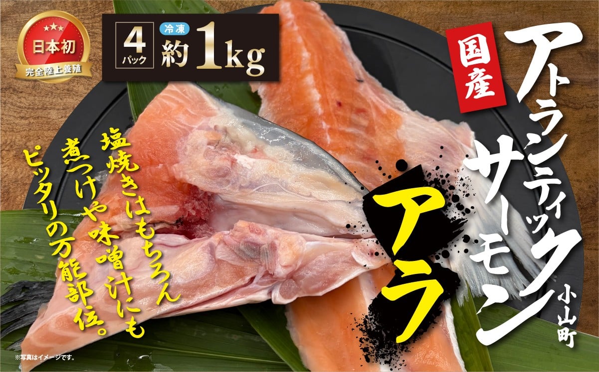 
                  日本初 完全陸上養殖 静岡県小山町産 アトランティックサーモン 冷凍 アラ4パック 約1kg | サーモン さーもん 小分け 真空パック 鮭 養殖 国産 大容量 静岡県 小山町
                