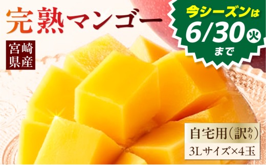 《2026年発送》【数量・期間限定】【自宅用(訳あり)】La Brilliant Mango(3L×4玉)_M307-005-02