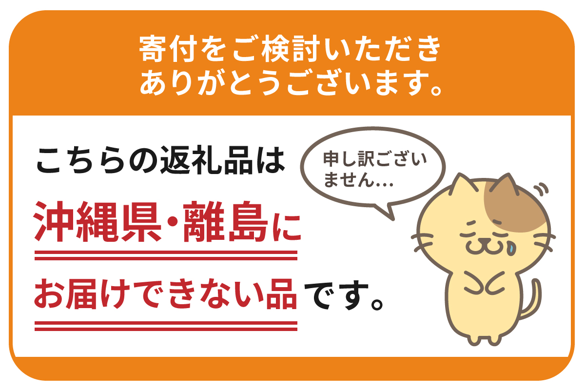 【6ヵ月定期便】2箱セット サントリー トリプル生 350ml×24本 6ヶ月コース(計12箱)