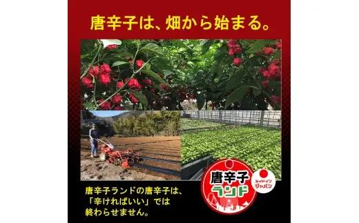 大月限定デザインの激辛一味、激辛七味。2016年ギネス認定世界一辛い唐辛子キャロライナ・リーパー使用
