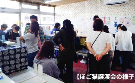 Tシャツ 猫の愛護活動を応援!黒Tシャツ「パン持ちデザイン」 Mサイズ