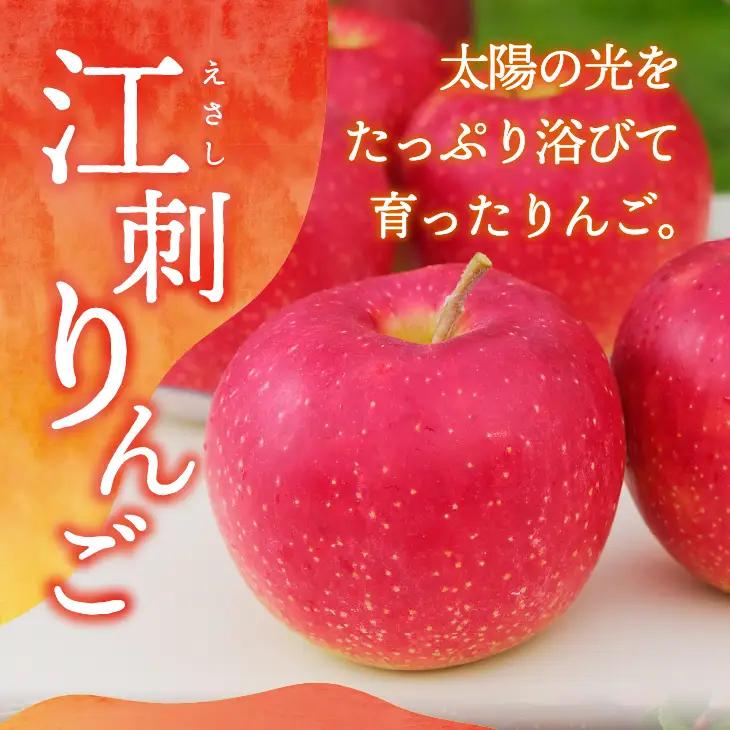 江刺りんご サンふじ 約10kg(46玉) [AQ028]