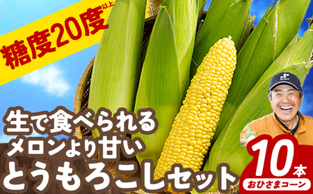 北海道産 とうもろこし おひさまコーン 10本 糖度20度以上 2026年予約