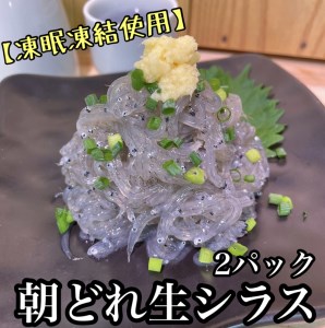 超鮮度！朝どれ 生しらす 小 2パック【凍眠凍結使用】【 惣菜 お刺身 生食 日本酒 焼酎 お取り寄せ 希少部位 御中元 お中元 お歳暮 父の日 母の日 贈り物 しらす しらす しらす しらす しらす】【家庭用 自宅用 贈答品 贈答用 ギフト 神奈川県 小田原市 】