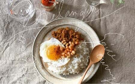 キーマカレー スパイス キット 4人分×2個 （88g×2個） 合計8人分セット （合計176g） ／ レシピ付き キーマ カレー 手作り 簡単調理 セット 北海道 北広島市 常温