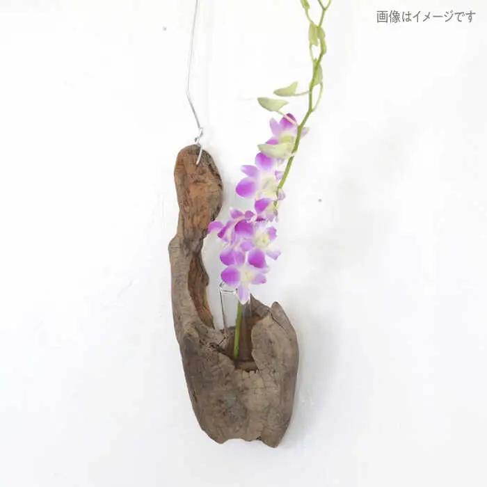 Driftwood FlowerBase 流木一輪挿し フラワーベース 糸島市 / WOOD'ARBRE(ウッドラヴル)【TIME】 インテリア 雑貨 一輪挿し [ADC003]