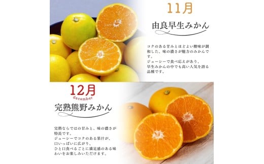 【全4回】仲森農園の柑橘定期便 合計4種 28kg 【超極早生温州「みえ紀南一号」・極早生温州・由良早生・早生温州「完熟熊野みかん」】 みかん ミカン 蜜柑 温州みかん 温州ミカン 柑橘 みかん定期便
