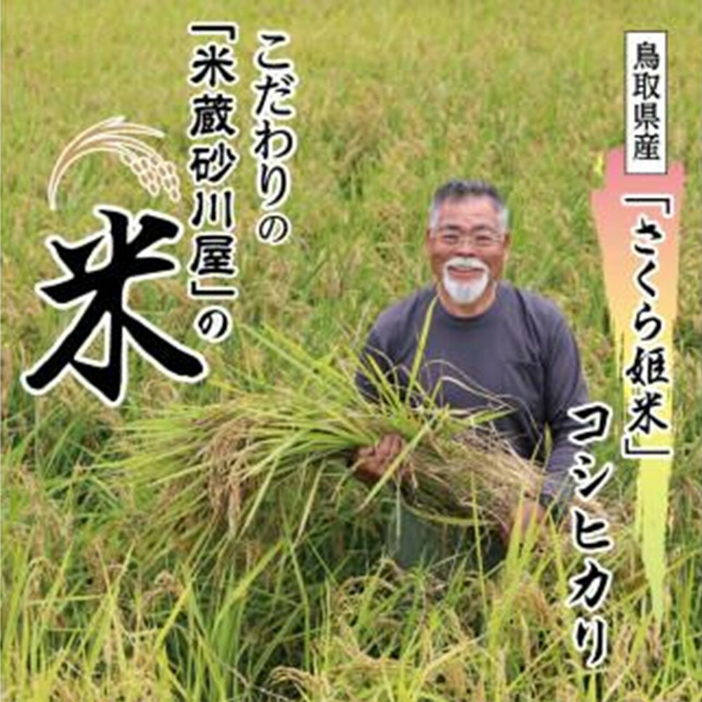 【ふるさと納税】鹿野のさくら姫米 3kg | こしひかり コシヒカリ 精米 お米 おすすめ 鳥取 送料無料