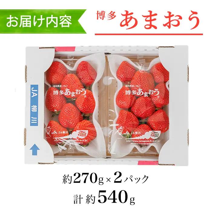 ＜数量限定・先行予約受付中！2027年1月中旬～2月上旬に順次発送＞福岡県産苺「あまおう」グランデ以上(計約540g)いちご 苺 フルーツ 果物 くだもの 福岡限定 家庭用 冷蔵 ＜離島配送不可＞【k