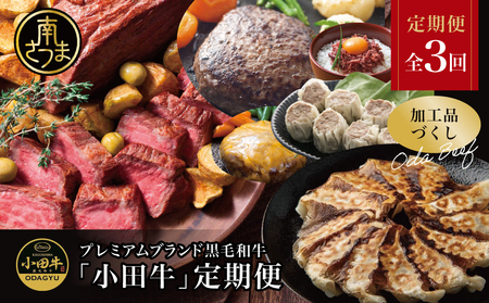 【全3回】プレミアムブランド「小田牛」定期便［加工品づくし］　鹿児島県産黒毛和牛 ハンバーグ コンビーフ ローストビーフ 餃子 焼売 総菜 おかず レトルト 冷凍 小田畜産 南さつま市