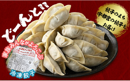 宇都宮餃子 5種類味比べ(合計100個)【 餃子 食べ比べセット 冷凍餃子 冷凍食品 惣菜 栃木県 宇都宮市 】※配送不可地域:離島