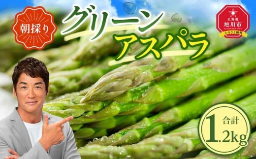 【先行予約】朝採り グリーンアスパラ M～2L 1.2kg (2026年5月下旬発送開始予定) 【 アスパラ アスパラガス 朝採り とれたて 野菜 旬 小分け 保存 産直 産地直送 お取り寄せ 旭川市 北海道 】_01705