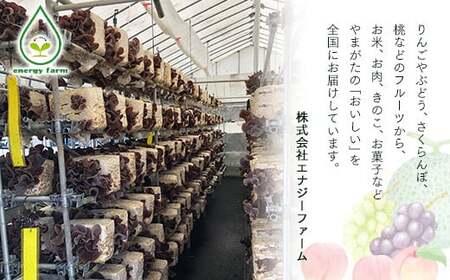 《先行予約》令和7年産 山形県産米 5kg 食べ比べ定期便（全3回） 精米 米 お米 おこめ 山形県 新庄市 F3S-2510