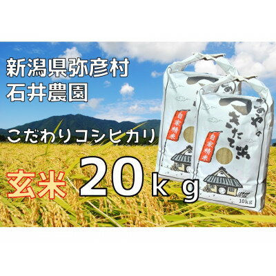 【ふるさと納税】新潟県弥彦村石井農園　令和7年産 コシヒカリ【玄米 20kg】【1538645】