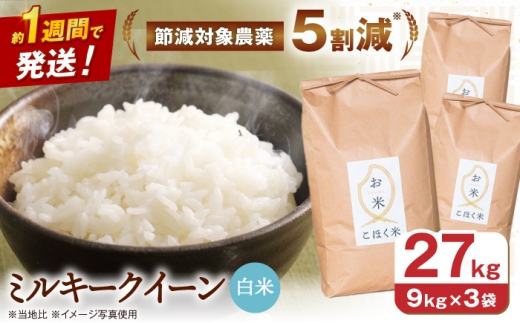 滋賀県 湖北のミルキークイーン 27kg (白米)　米 お米 ご飯 ごはん ゴハン おにぎり 炊き込みご飯 人気 おすすめ