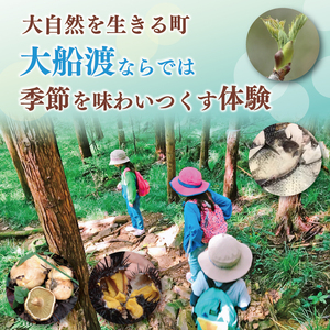 季節の三陸体験 体験チケット (3名様分/1体験) 三陸アクティブ 三陸 大船渡 大船渡市 体験 体験チケット チケット 夏休み 冬休み 春休み うに ウニ 山菜 山菜取り キノコ きのこ きのこ狩り