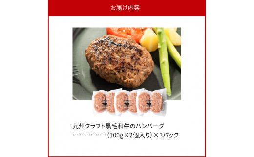 九州クラフト黒毛和牛のハンバーグ(100g×2個入り)×3パック　N0105-A0303