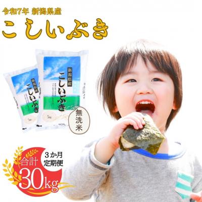 ふるさと納税 三条市 先行受付  [定期便] 無洗米 こしいぶき 10kg3か月 新潟県令和7年産 白熊【034S004】
