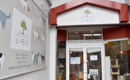 【返礼品なし】 猫 保護 支援 ねこ カフェ いろり 藤枝 猫 ネコ 里親 猫 寄付 ふれあい 猫 ( ネコ 動物愛護 猫保護 犬猫等愛護 猫カフェ 里親募集 猫への寄附 猫支援 猫藤枝 静岡県 藤枝