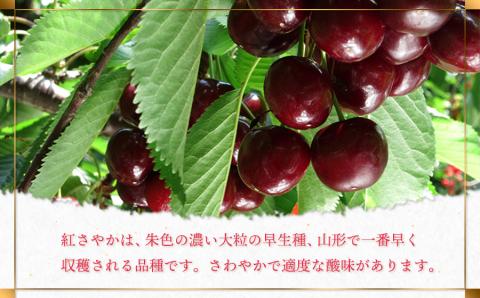 【令和6年産 先行予約】さくらんぼ 紅さやか M～Lサイズ混合 バラ詰め 800g(200g×4p)　山形県鶴岡市産　鈴木?農園