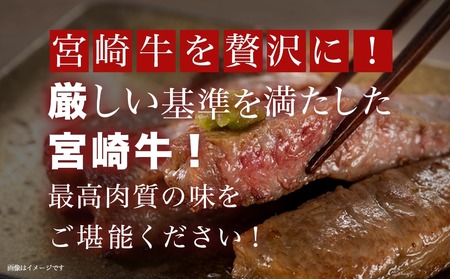 【年内お届け】宮崎牛サーロインステーキ200g×5枚≪2025年12月15日～31日お届け≫_AE-8904-HNY_(都城市) 牛 サーロインステーキ 計1キロ ステーキ カット肉 トップブランド 