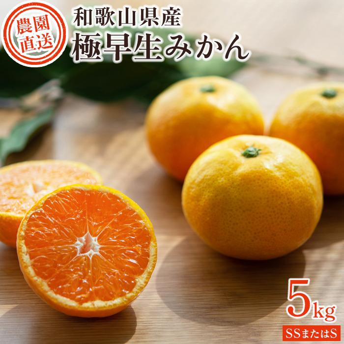 【ふるさと納税】《赤秀》【極早生みかん】約5kg（和歌山県・下津町産）産地直送（S・SSサイズ）［Mg16］