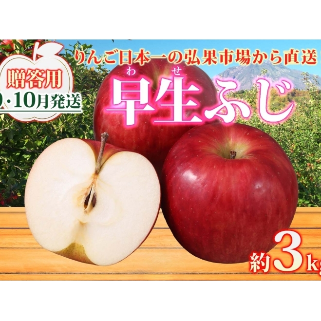 【9月・10月発送】贈答用 早生ふじ 約3kg リンゴ 林檎 りんご 皮ごと 甘い 酸味 シャキシャキ デザート フルーツ 果物 お取り寄せ 産地直送 旬 季節限定 弘果物流 青森県 西目屋村 西目屋村産 青森りんご