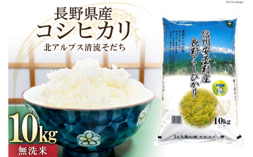 
無洗米 長野県産 コシヒカリ 10kg [大北農業協同組合 長野県 池田町 48110499] お米 エコ 時短
